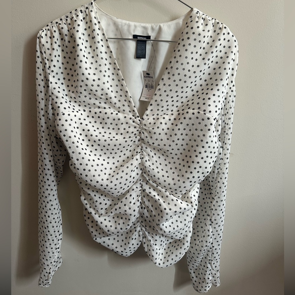 Express V-Neck Ruched Polka Dot Blouse
